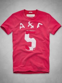 Pánské triko A&F Northside Trail Muscle Fit Tee - Červená